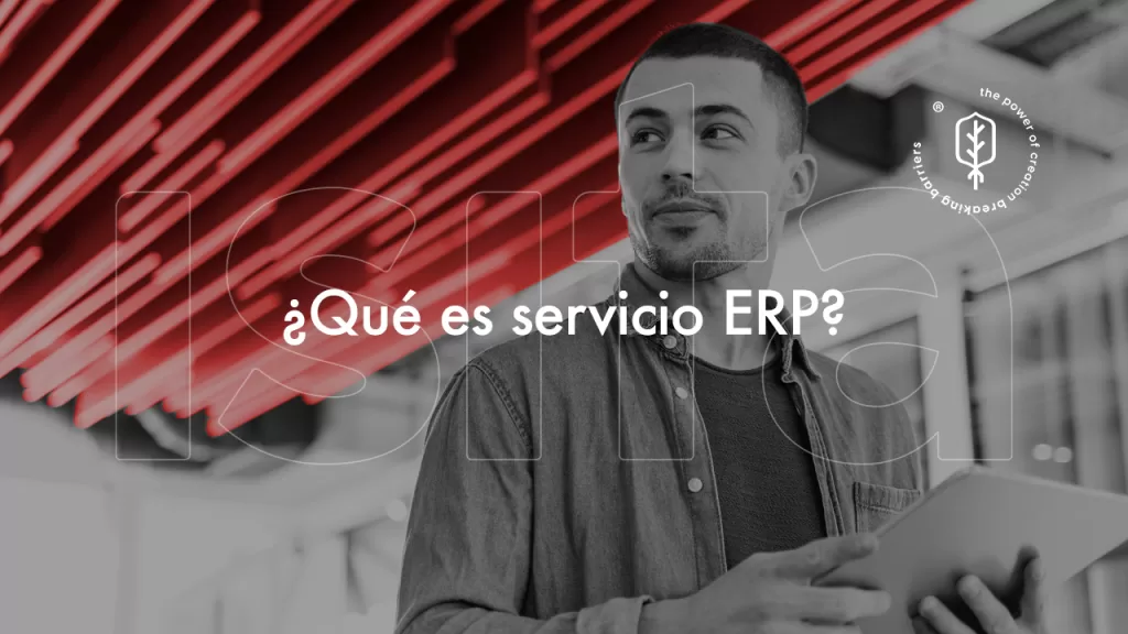 ¿Qué-es-el-servicio-ERP?-ISITA