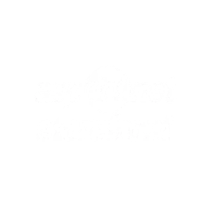 asp dotnet