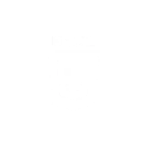 html 5
