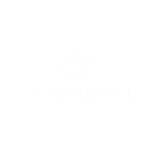 hyperledger
