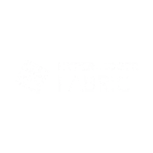 hyperledger fabric