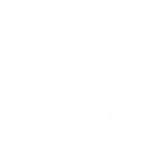 ibm watson